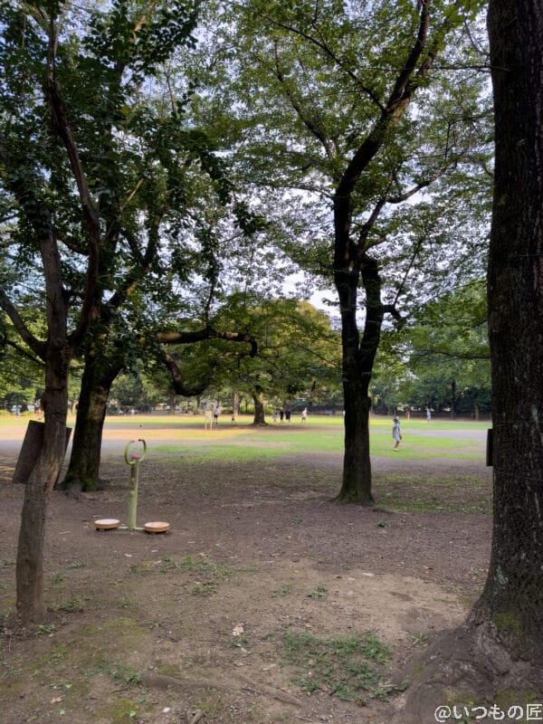 広角レンズ（x1.0）撮影例