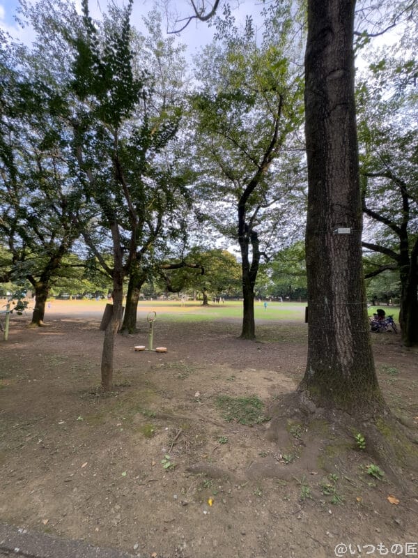 超広角レンズ撮影例