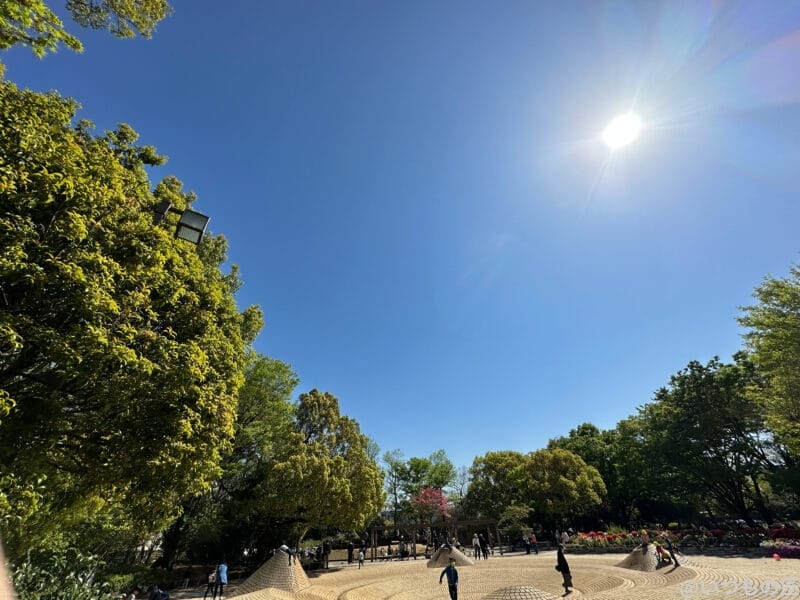 iphone14-wide-lens-still-0 | スマホの口コミ・評判・悪口.jp 公園と青空