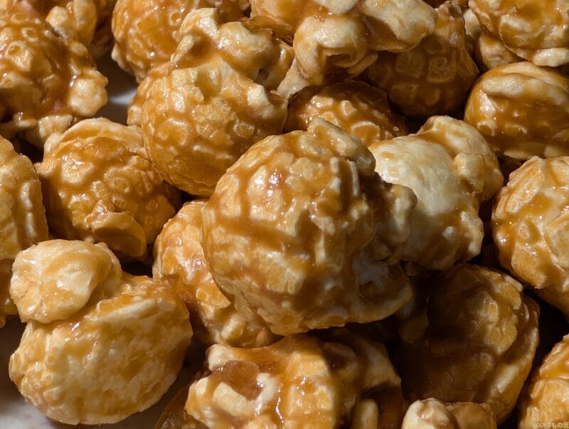 google pixel 9 でマクロ撮影した写真 | スマホの口コミ・評判・悪口.jp Google Pixel 9 カメラ Google Pixel 9 でマクロ撮影した写真